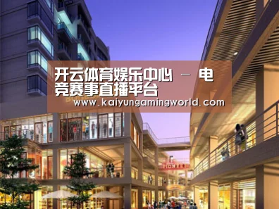 案例展示一(图1)