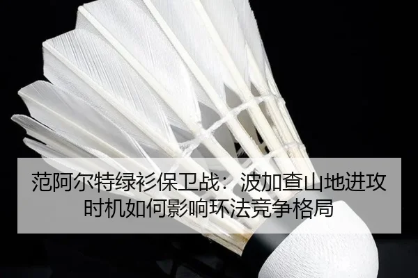 fan-a-er-te-lv-shan-bao-wei-zhan-bo-jia-cha-shan-di-jin-gong-shi-ji-ru-he-ying-xiang-huan-fa-jing-zheng-ge-ju-3-236.jpg